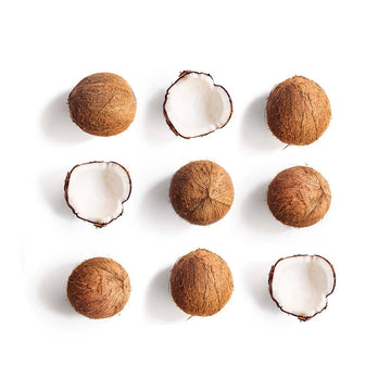 Coconut | Exotic Fruits - Rare & Tropical Exotic Fruit Shop UK